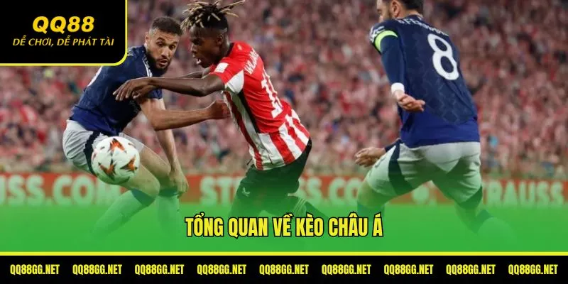 Giới thiệu chi tiết về kèo châu Á